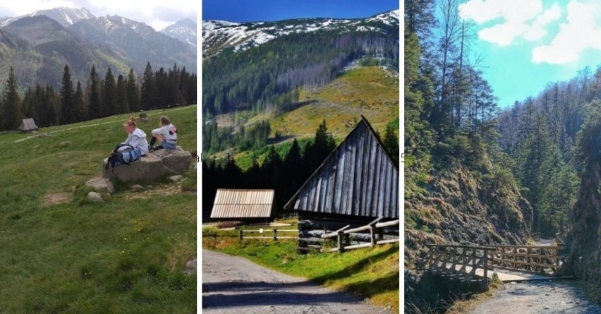 Letnie wycieczki w Tatry. TOP 10 łatwych i przyjemnych tras dla rodzin z dziećmi. Tam miło spędzicie czas i nie zmęczycie się za bardzo 