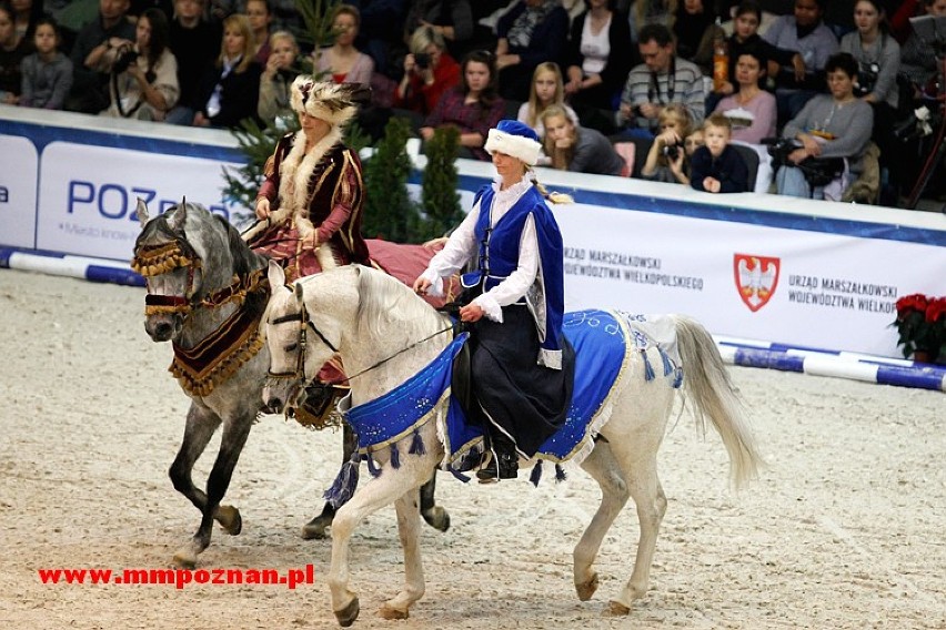 Prezentacja koni pełnej krwi arabskiej to prawdziwy festiwal...