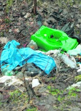 Życie po śmieciach: Śmieci w lesie przy ulicy Kolonia Artur przy Elektrowni II