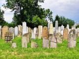 Cmentarz żydowski w Zabłociu - jeden z zapomnianych symboli historii Żywca
