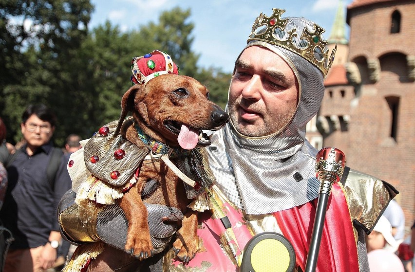 Marsz Jamników 2017 w Krakowie. Bobi zwycięzcą! [ZDJĘCIA]