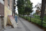 Kalisz: Miasto wyremontuje chodnik łączący planty z Mostem Kamiennym? ZDJĘCIA