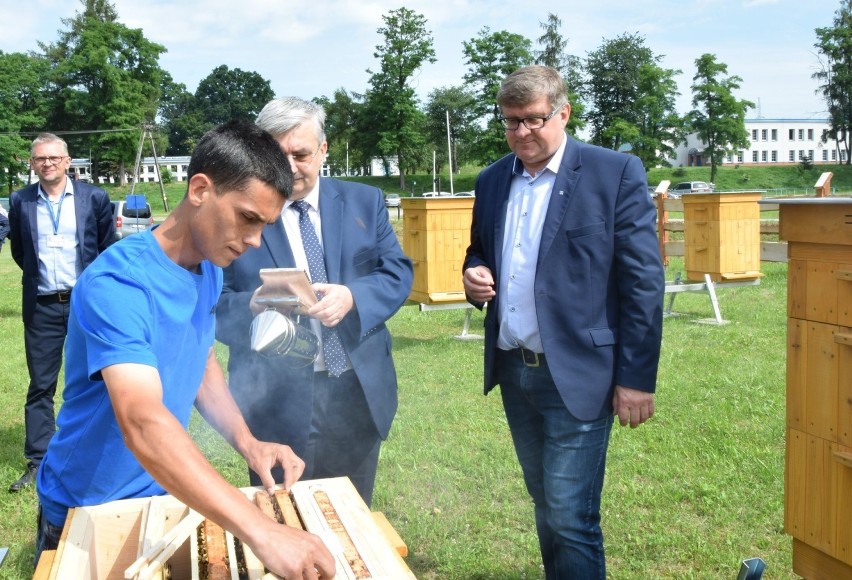 Jest to pierwsza miejska pasieka w Rzeszowie. Kolejna...