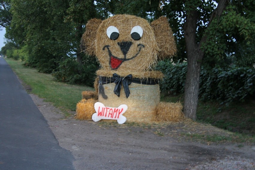 Dożynki wiejskie w Jasnym Polu [ZDJĘCIA]           