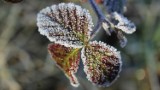 Instytut Meteorologii i Gospodarki Wodnej wydał ostrzeżenie pogodowe dla powiatu pleszewskiego