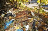 Miejsca w centrum Kielc skazane na brud? Mieszkańcy narzekają, urzędnicy rozkładają ręce