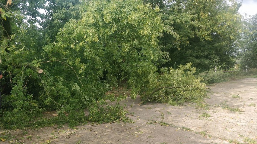 Drzewo przewróciło się na garaż  i uszkodziło samochód w powiecie włocławskim [zdjęcia]