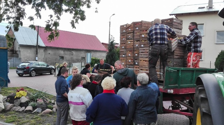 Darmowe jabłka w gminie Puck znowu trafią do mieszkańców