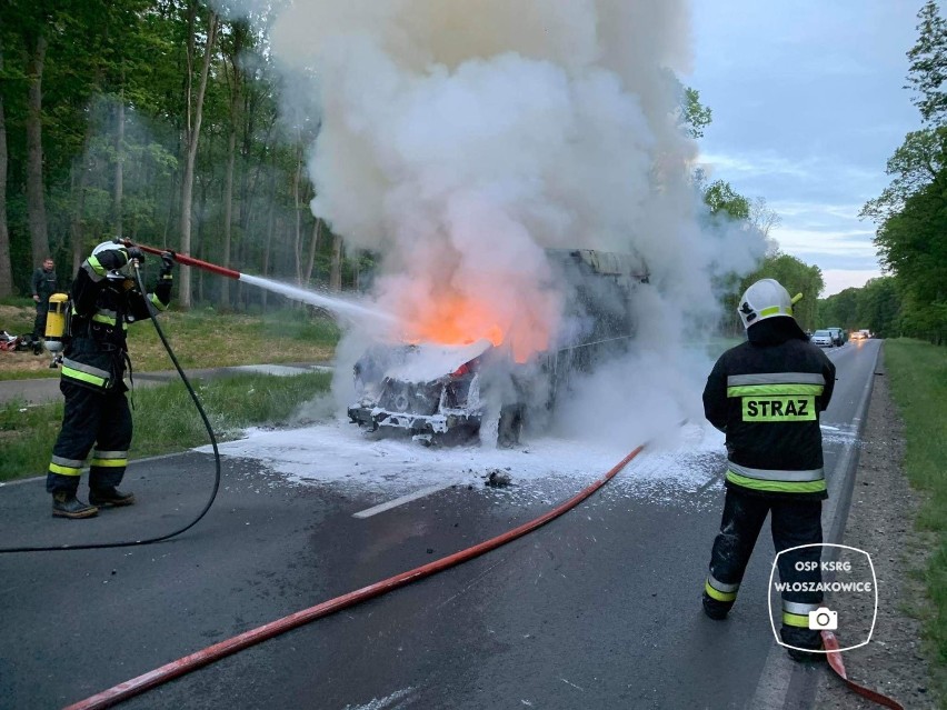 Leszno. Pożar busa po zderzeniu z jeleniem pod Włoszakowicami [ZDJĘCIA]