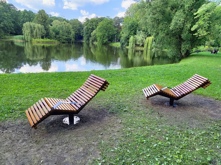 Tak prezentuje się Park Wolności w Brzegu.