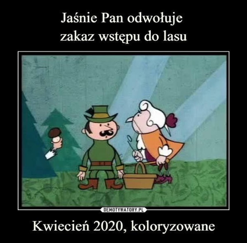 Lasy, parki, skwery otwarte! Od 20 kwietnia znów można...