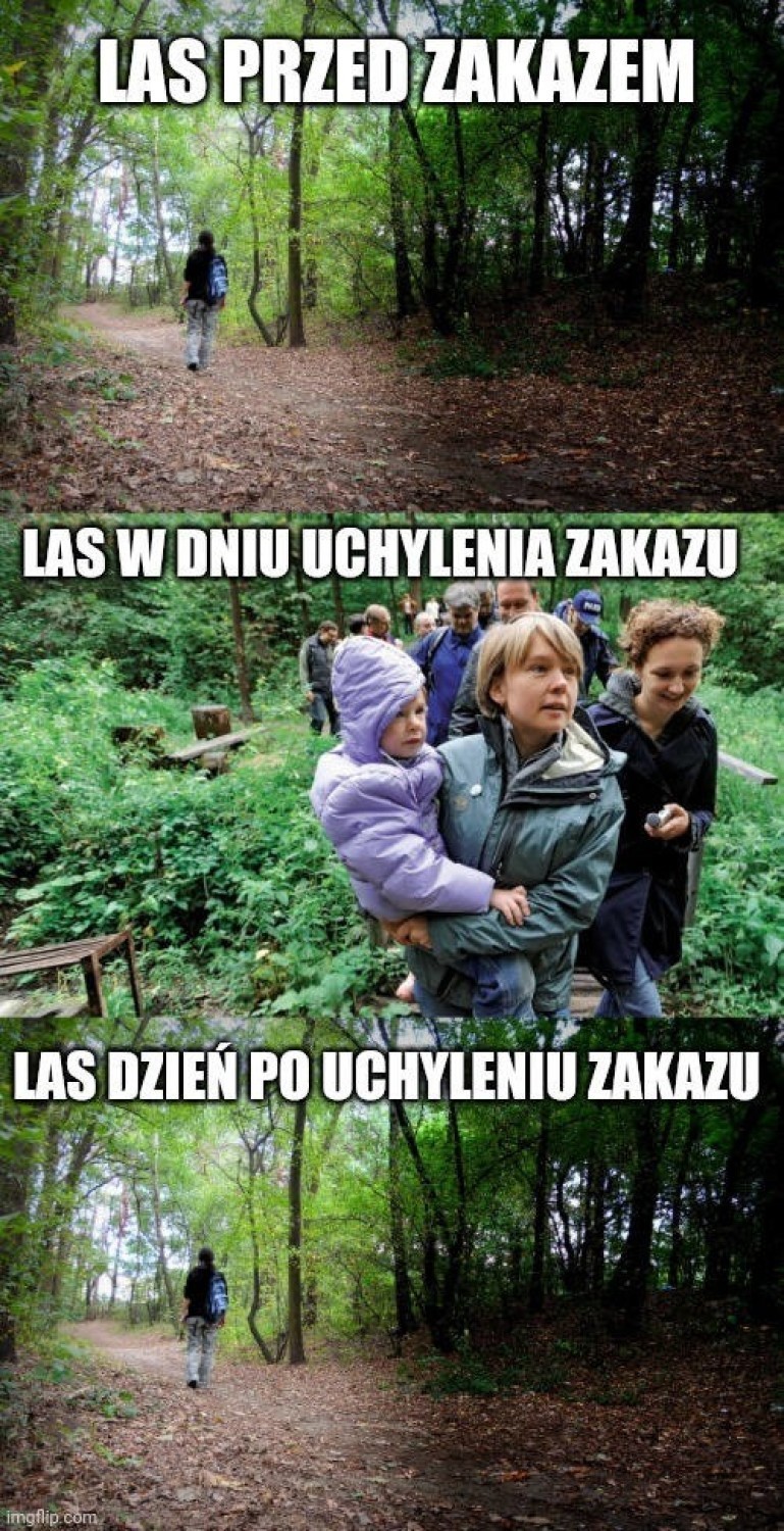 Lasy, parki, skwery otwarte! Od 20 kwietnia znów można...