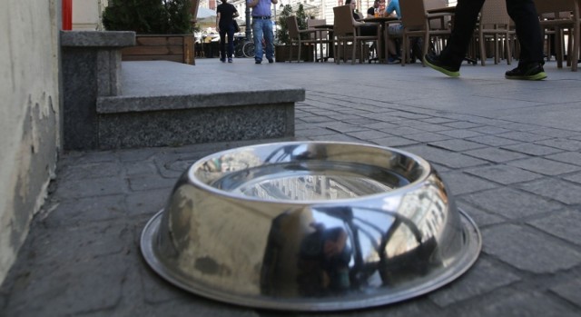 Na niektórych kędzierzyńskich i opolskich osiedlach mieszkańcy z własnej inicjatywy wystawili miski z wodą dla psów.