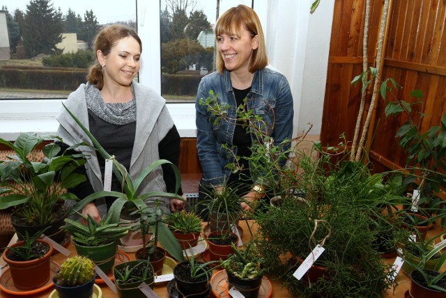 Botaniczna Pedagogiczna w Piotrkowie Trybunalskim