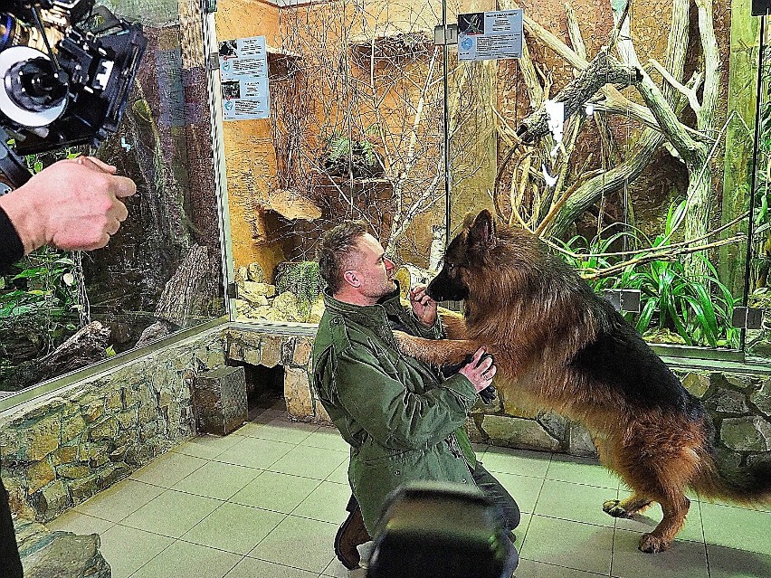 - Bardzo mnie ucieszyła propozycja zagrania w tym serialu -...