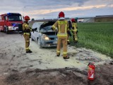 Pożary samochodów pod Lesznem. W ogniu stanęły dwa auta i kapliczka ZDJĘCIA i FILM