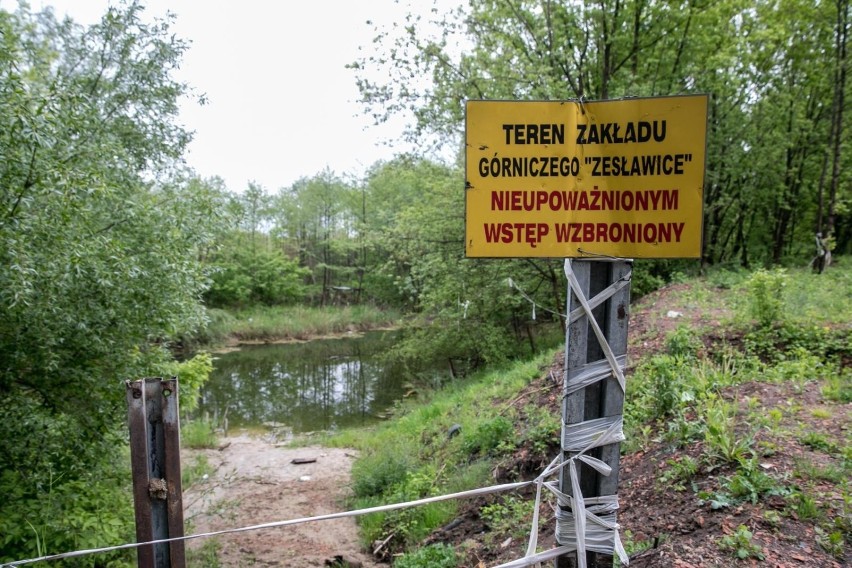 Dawna kopalnia iłów w Zesławicach i okoliczne tereny