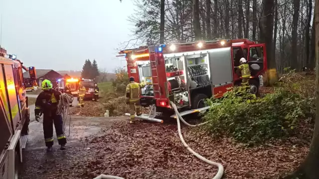 Manewry zgromadziły ponad 70 strażaków z gminy Tyczyn i jeden zastęp z sąsiedniego Straszydla.