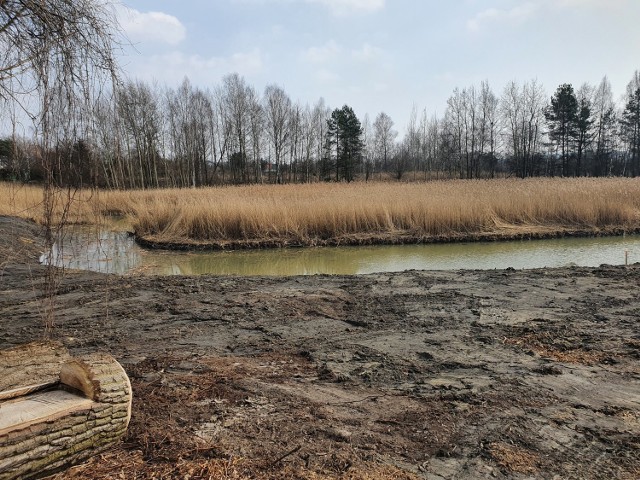 Dolina trzech stawów w Chrzanowie