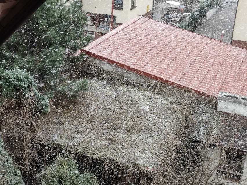 Śnieg i załamanie pogody w Kraśniku. Na prawdziwą wiosnę jeszcze musimy poczekać. Zobacz zdjęcia z Kraśnika i okolic