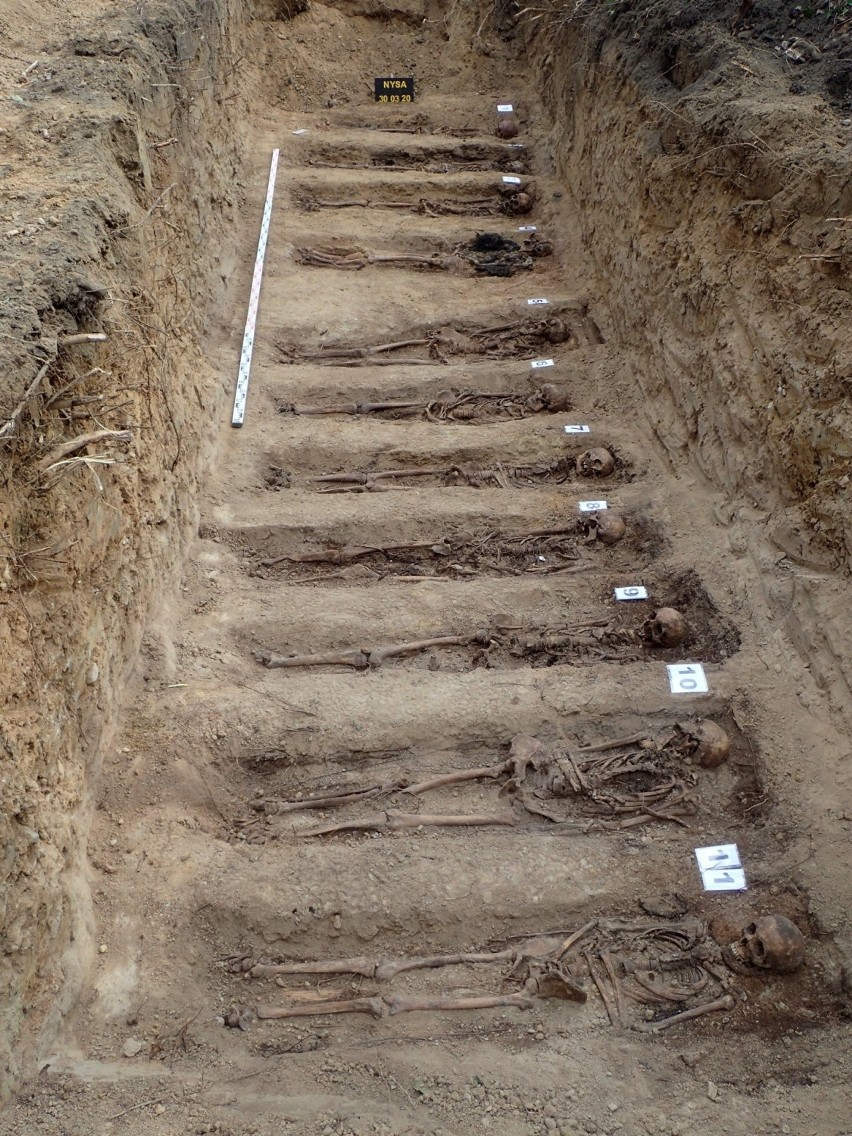 Szczątki 57 niemieckich żołnierzy ekshumowano na Cmentarzu Garnizonowym w Nysie 