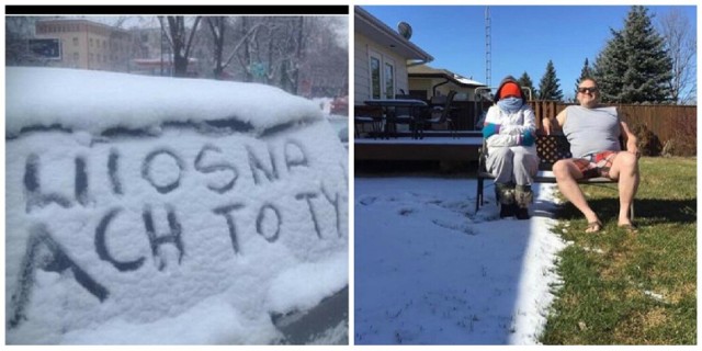 Memy  okazji Dnia Wiosny. Oglądamy z przymrużeniem oka