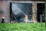 Pożar w Rylsku Dużym w gminie Regnów. Płonął budynek inwentarski [ZDJĘCIA]