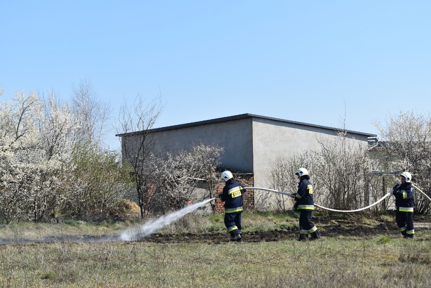 Pożar trawy przy ulicy Grodzieckiej w Choczu