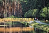 Zwierzyniec. Egipskie ciemności w parku, nad zalewem i w Zwierzyńczyku 