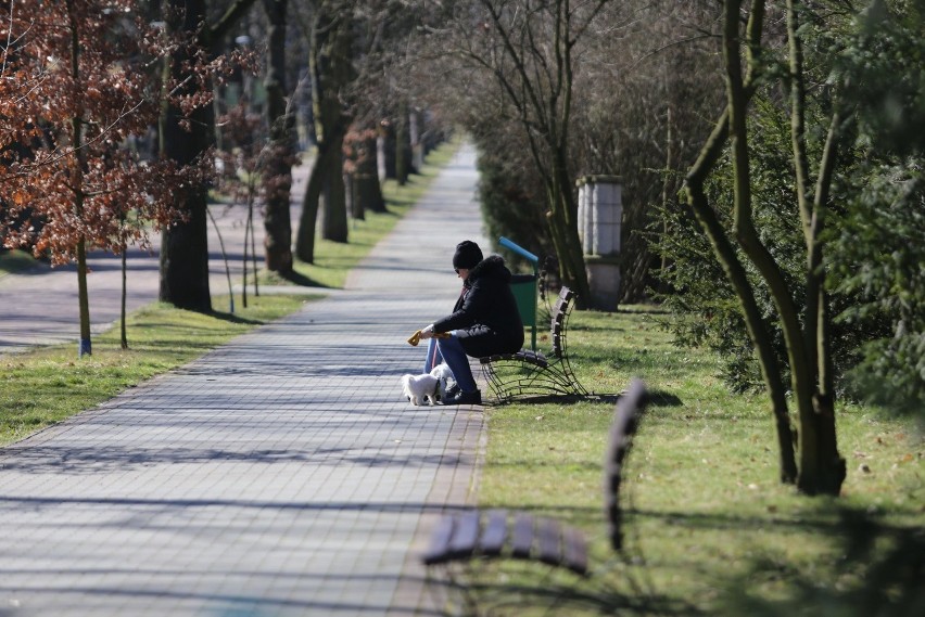 Koronawirus: Katowice, Chorzów - miasta...