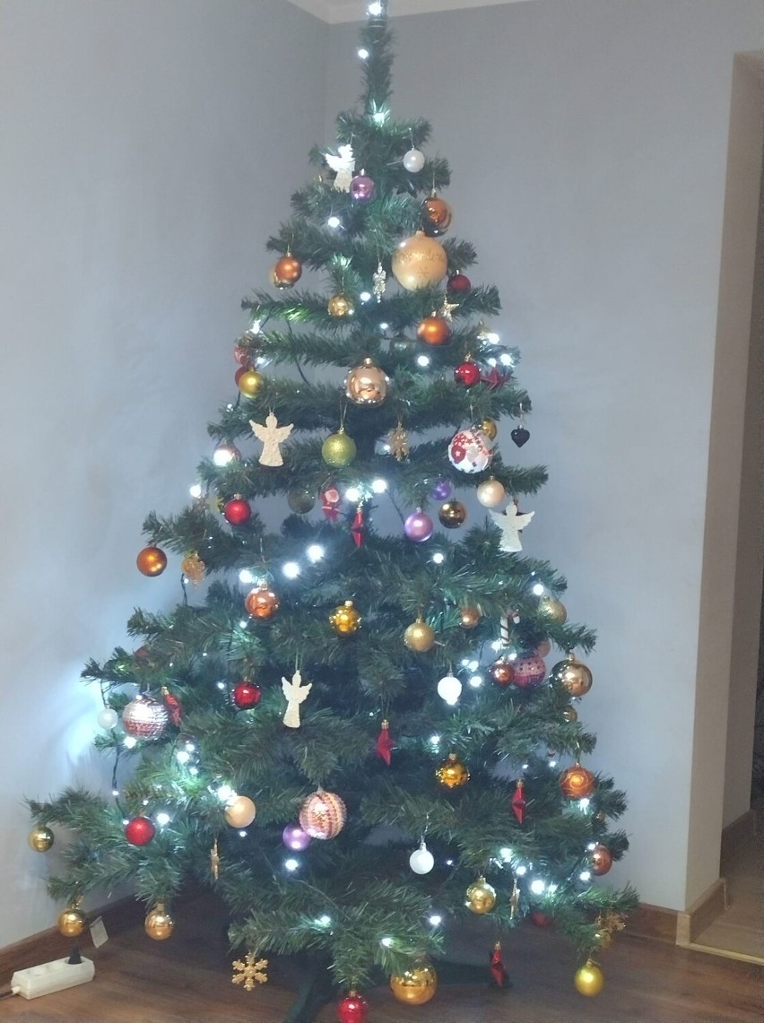 Choinki 2021 - czyli świąteczne drzewka w domach mieszkańców powiatu chodzieskiego (ZDJĘCIA)