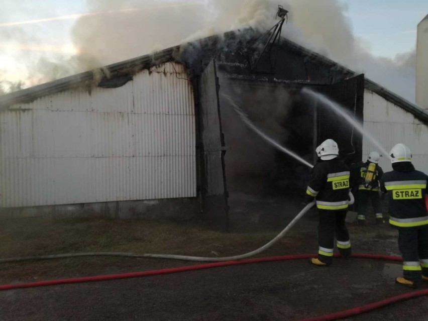 Pożar chlewni w Taciewie