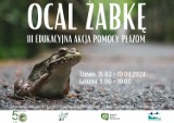 Przed nami kolejna edycja akcji „Ocal żabkę”. Organizuje ją Roztoczański Park Narodowy 