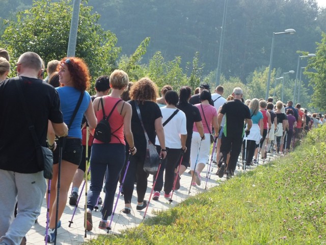 I Powiatowy Marsz Nordic Walking w Bełchatowie