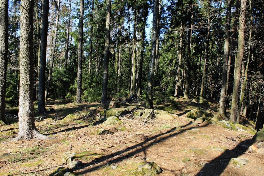 Zagadka tajemniczego Żelaznego Krzyża w Wilkowie. Poznaj tę niezwykłą historię!