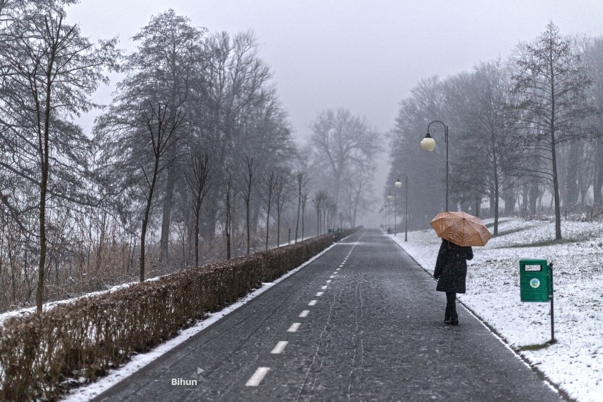Zima na chwilę zawitała do Złotowa, chociaż w kalendarzu jeszcze jesień. Czy tegoroczna zima będzie taka jak w styczniu 2021 roku?