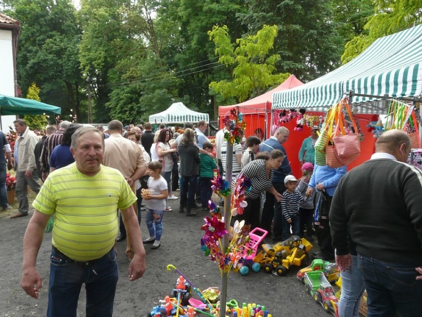 Targi w Kościerzynie 2015