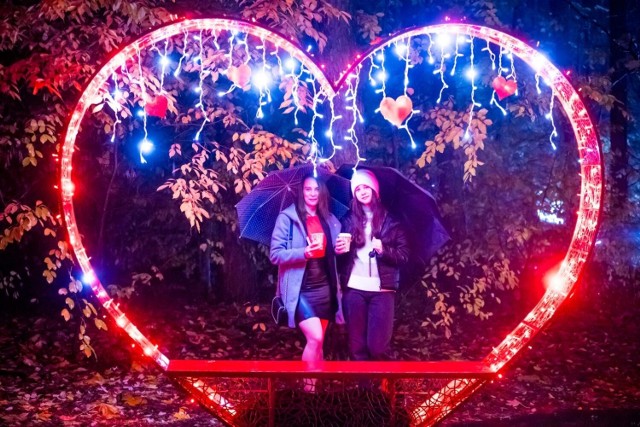 W piątek (3 listopada) do Leśnego Parku Kultury i Wypoczynku „Myślęcinek” w Bydgoszczy w zupełnie nowej odsłonie powrócił Lumina Park. Organizatorzy w tym roku zabierają uczestników w Magiczną Podróż po świecie pełnym iluminowych atrakcji.