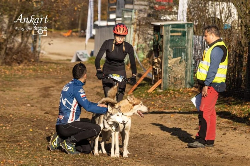 Zawody psich zaprzęgów. Rakocy Team walczy w całym kraju 