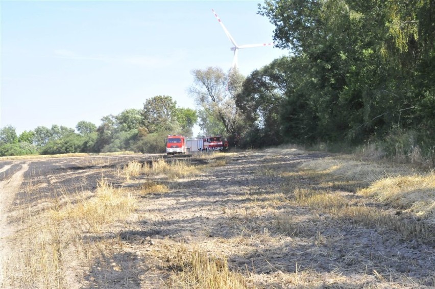 Prawie cztery hektary jęczmienia spłonęło na polu w okolicy Głuchowa