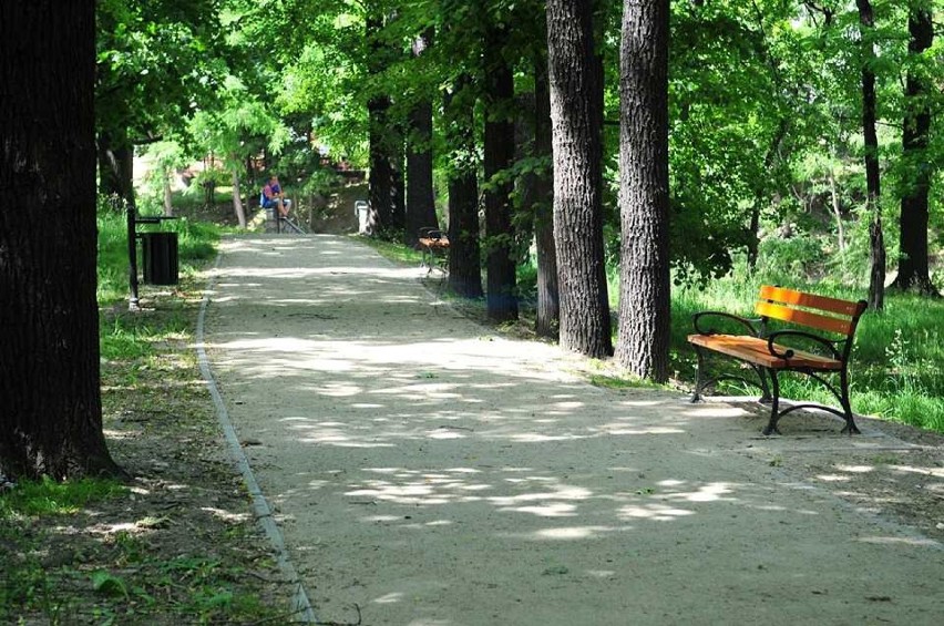 Nowe alejki w Parku Wrocławskim w Świdnicy (ZDJĘCIA)