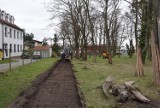 Aleje i pomnik. Ruszyły prace na dawnym cmentarzu przy Wita Stwosza w Pruszczu |ZDJĘCIA