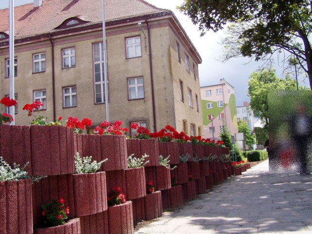 Szczecineckie starostwo