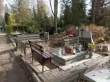 Przed 1 listopada przypominamy historię dawnych cmentarzy w Jeleniej Górze. Co po nich pozostało? Co jest teraz na ich miejscach?