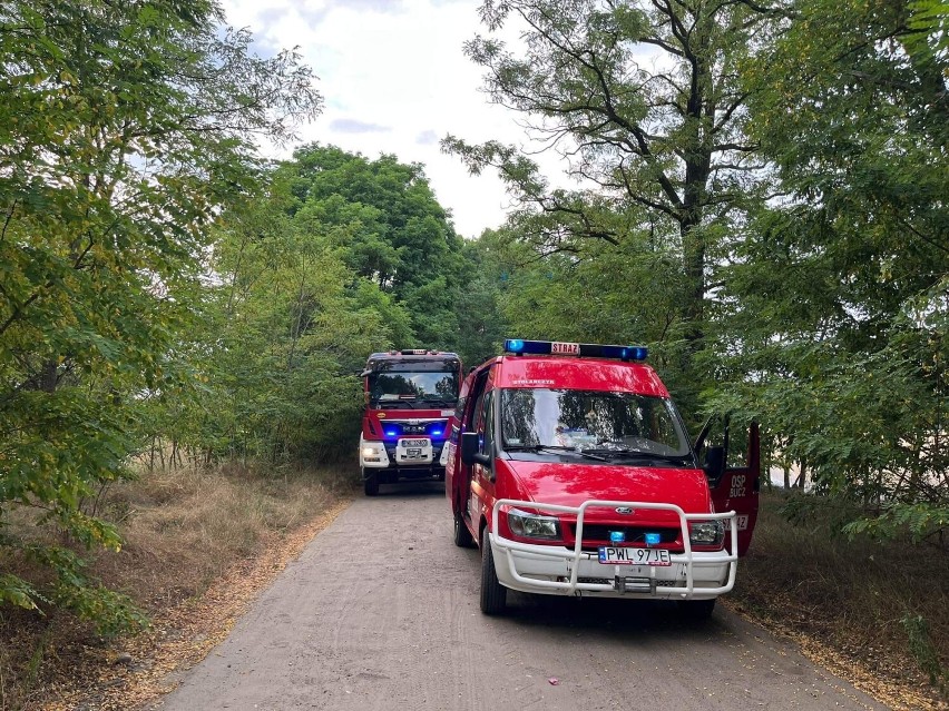 Powiat wolsztyński. Kolejne pożary podczas tegorocznych żniw [FOTO]