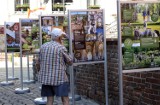 Nowe wystawy w Grudziądzu na 730. urodziny miasta. Archeologiczna w muzeum, a miasta partnerskiego Falun na Spichrzowej [zdjęcia]