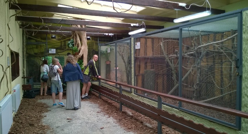 Zoo w Łodzi wyremontowało pawilon małych ssaków [ZDJĘCIA]