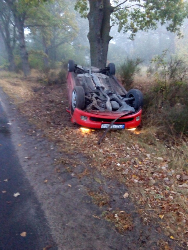 Ruszków Pierwszy: Na jezdnię wybiegł lis. Dachował Opel Vectra