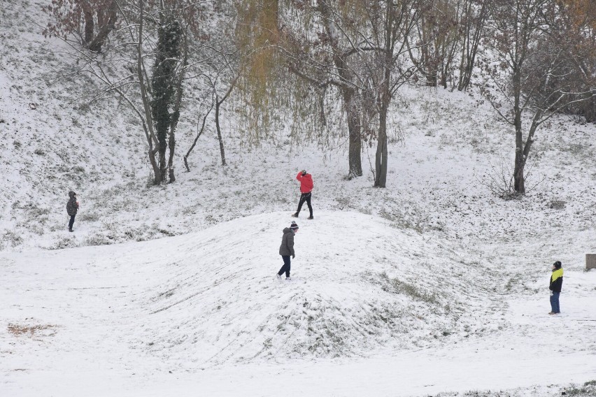 Pierwszy wypad na sanki w Koninie. Przy amfiteatrze stawili się młodzi saneczkarze