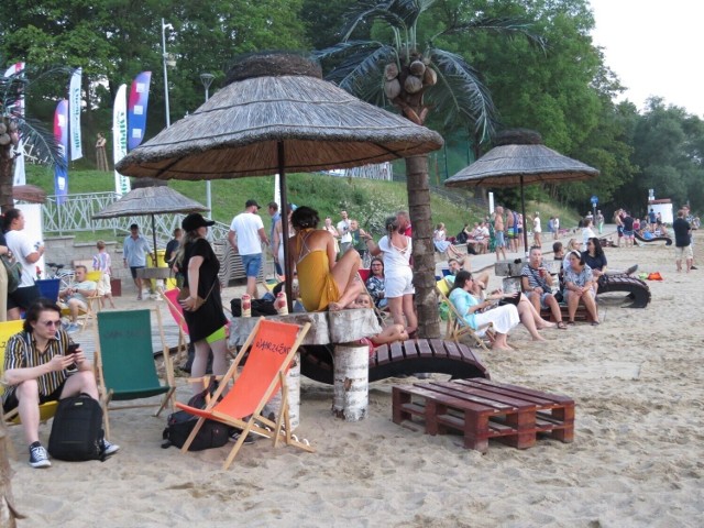 Palmy na plaży nad Jeziorem Zamkowym zostały zamontowane po tym, gdy wygrał projekt zgłoszony do 3. edycji wąbrzeskiego budżetu obywatelskiego. Projekt ten był złożony przez późniejszego burmistrza Wąbrzeźna Tomasza Zygnarowskiego